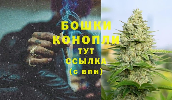 трава Алзамай